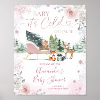 Winter Pink Snowflake Sleigh Baby Shower Welcome