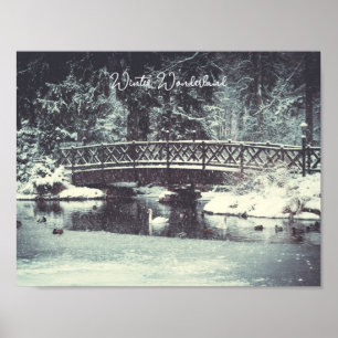 Winter pond poster