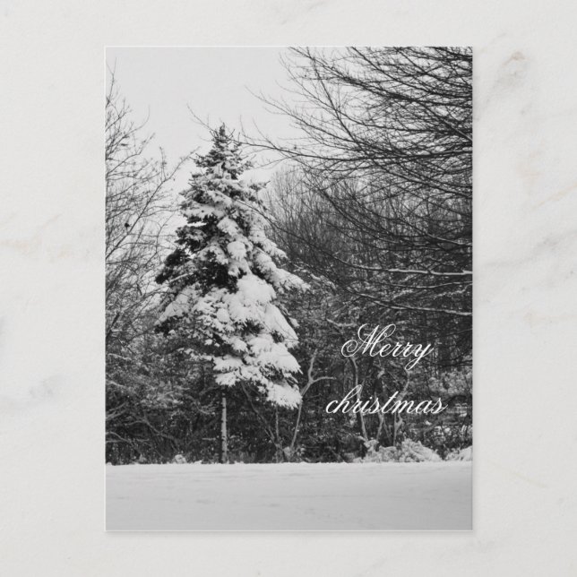 Winter postcard (Front)