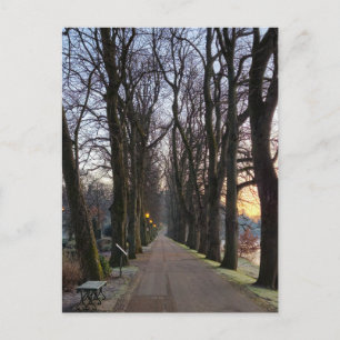 Winter postcard