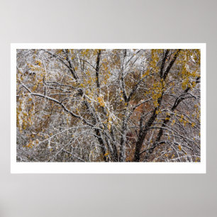 Winter Poster