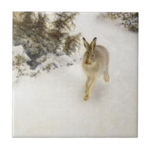 winter rabbit tile