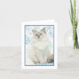 winter ragdoll notecard