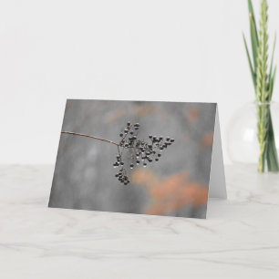 Winter Rain, card