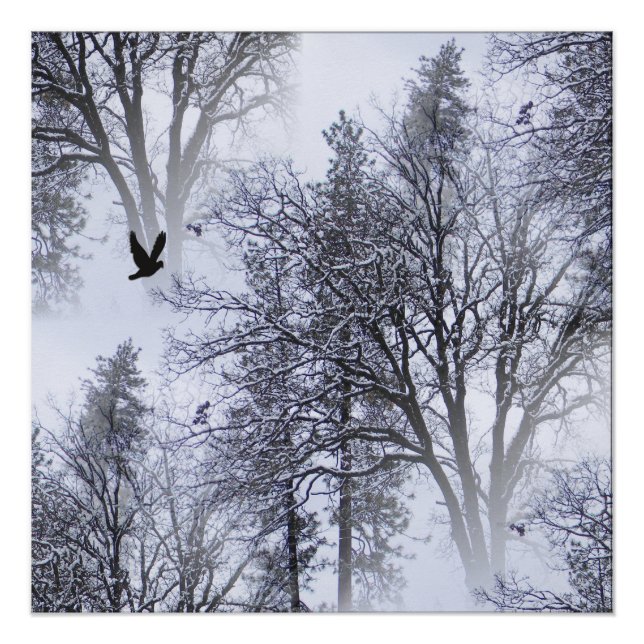 Winter Raven... Poster (Front)