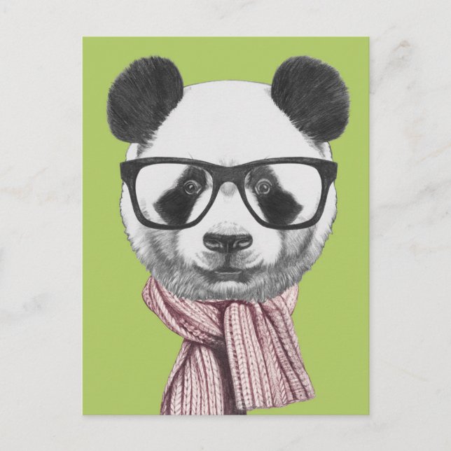Winter Ready Panda Bear Postcard (Front)