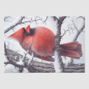 Winter Red Cardinal Bird Tissue Paper