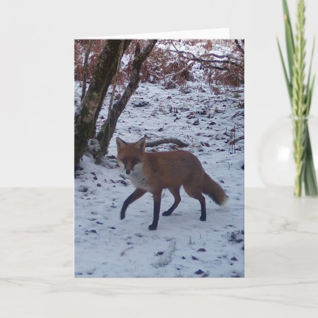 Winter Red Fox Wildlife  – Personalised Card (Front)
