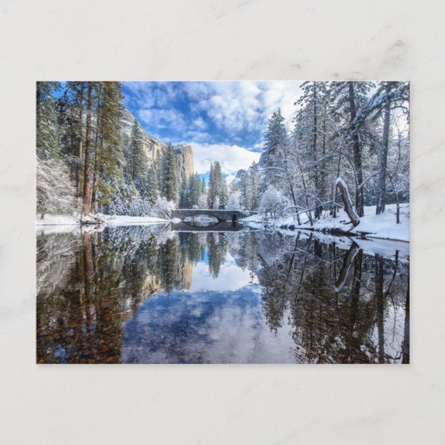 Winter Reflection at Yosemite Postcard (Front)