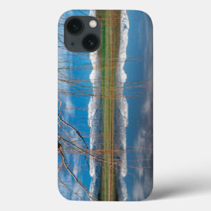 Winter Reflections. Ceres, Boland District iPhone 13 Case