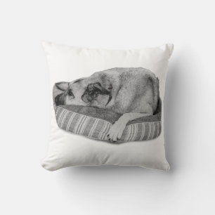 Winter Retreat, Serene Dog Pillow