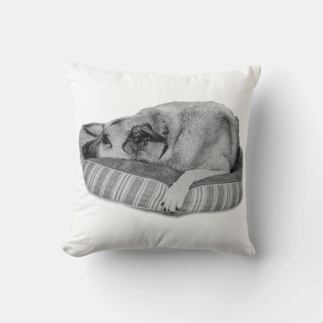 Winter Retreat, Serene Dog Pillow (Front)