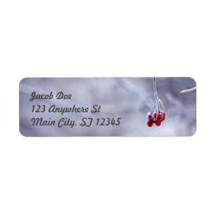 Winter Return Address Labels