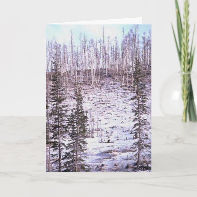 Winter Rise Greetings Card (Front)