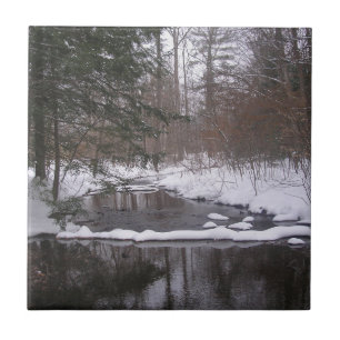 'Winter River" Tile