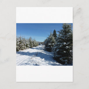 Winter Road Postcard