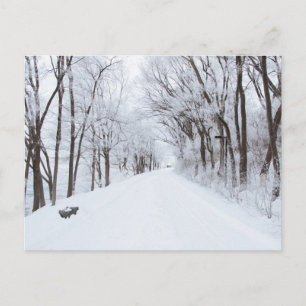 Winter Road Postcard