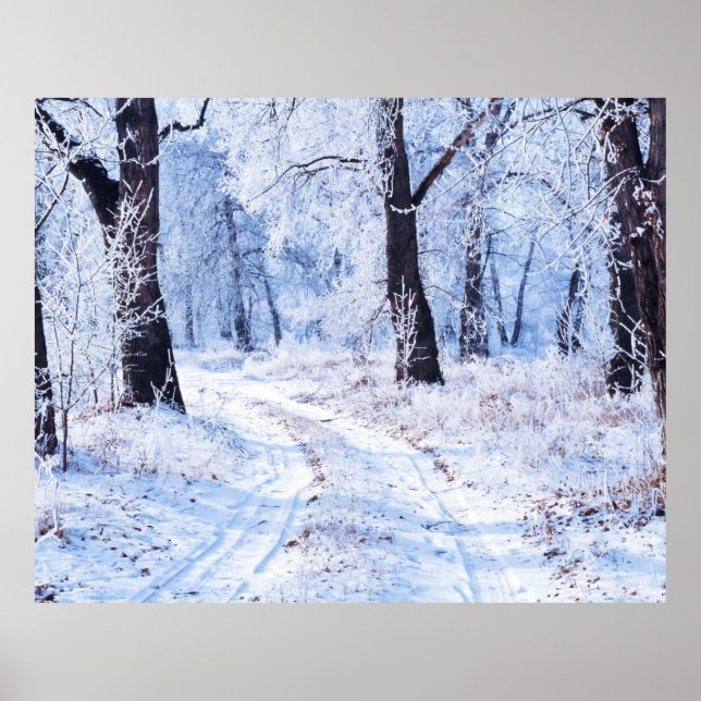 Winter Road Poster (Front)