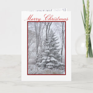 WINTER ROBES ~ Natural Holiday Card