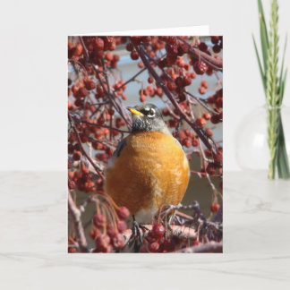 Winter Robin - Father's Day Card
