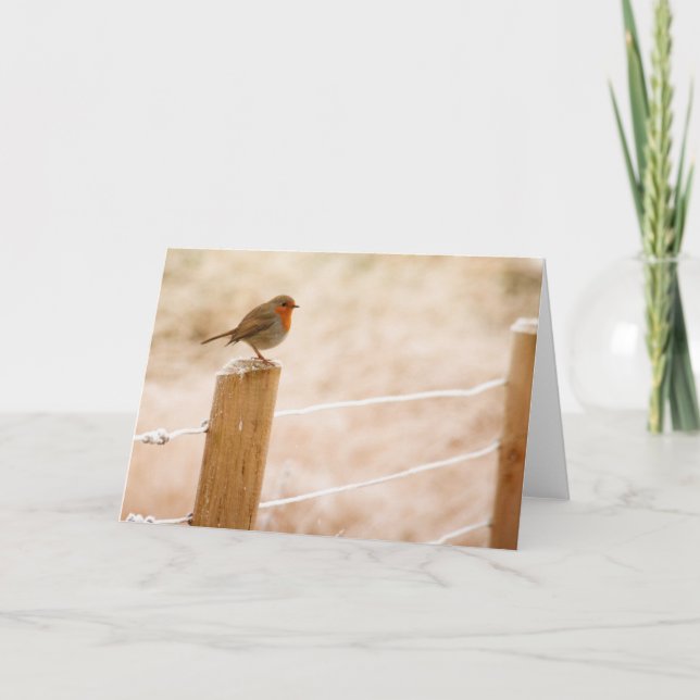 Winter Robin Redbreast Card (Front)