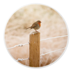 Winter Robin Redbreast Ceramic Knob