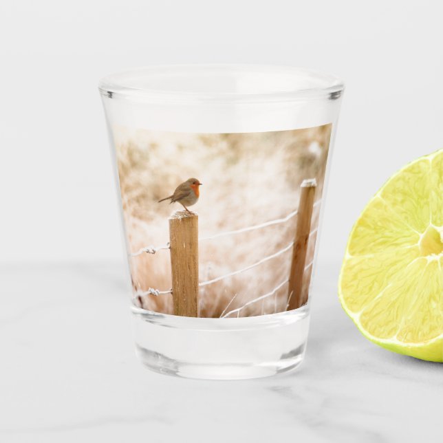 Winter Robin Redbreast Shot Glass (Front)