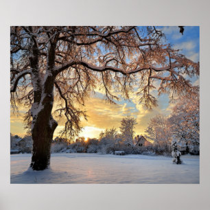 Winter Rural Landscape at Sunset Poster