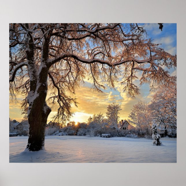 Winter Rural Landscape at Sunset Poster (Front)