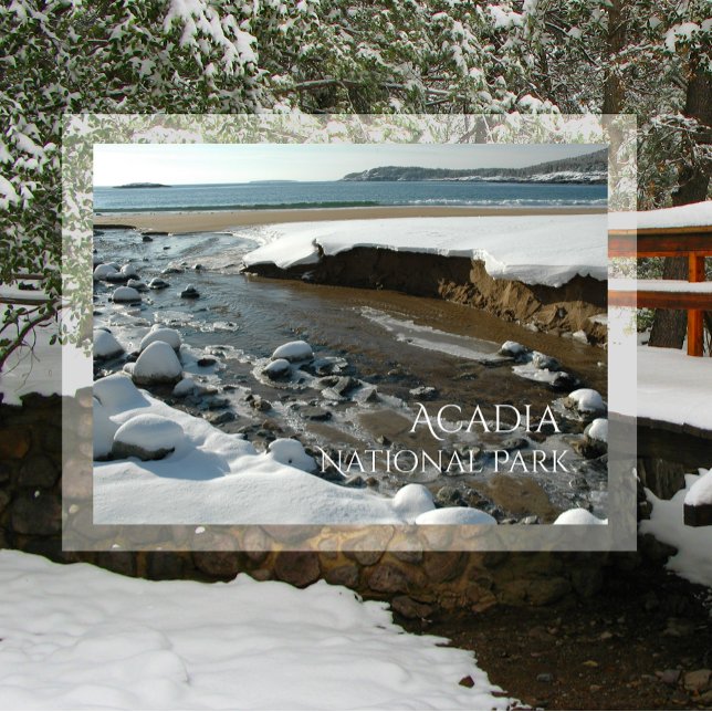 Winter, Sand Beach, Acadia National Park, ME Postcard (Creator Uploaded)