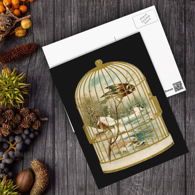 Winter Scene Birdcage Postcard (Bird in Winter snow scene by cabin inside a golden bird cage on a black postcard.)