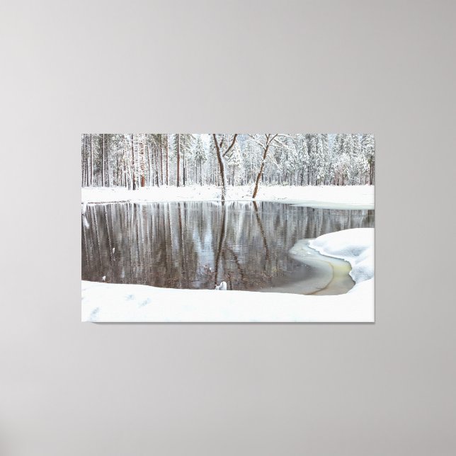 Winter Scene Canvas Print (Front)