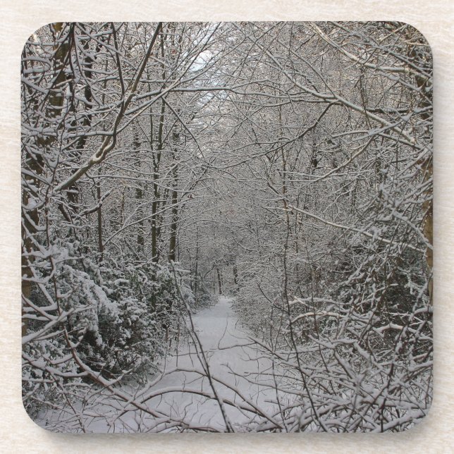 Winter Scene Coaster (Front)