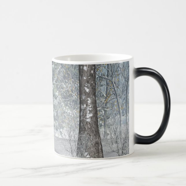 winter scene. magic mug (Right)