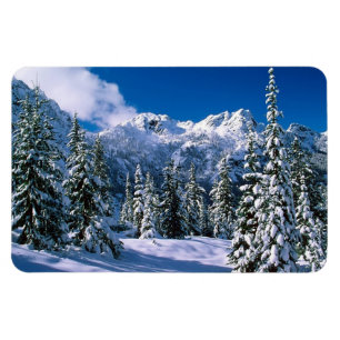 Winter Scene Magnet