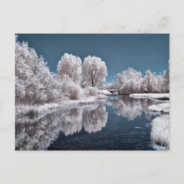 Winter scene postcard (Front)