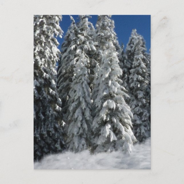 Winter Scene Postcard (Front)