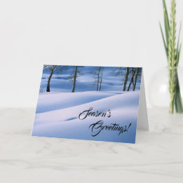 Winter Scene Season's Greetings Holiday Card