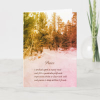 Winter Scene Snowy Road Trees Christmas