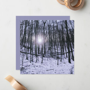 Winter Scene Sunrise and Snow Card