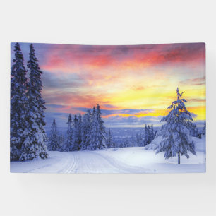 Winter scenery banner