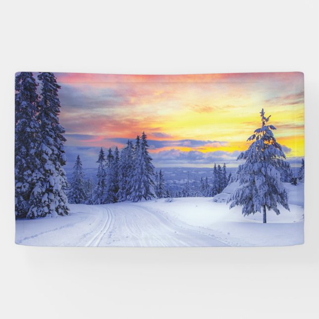 Winter scenery  banner (Horizontal)