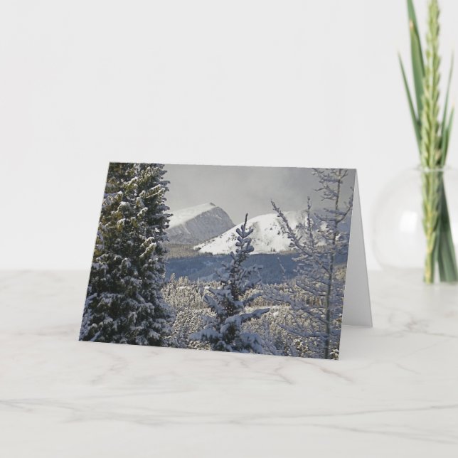 Winter Scenery Christmas Cards (Front)