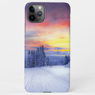 Winter scenery iPhone 11Pro max case