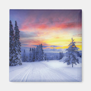 Winter scenery magnet