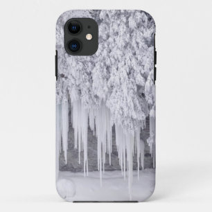 winter-scenes-106 Case-Mate iPhone case