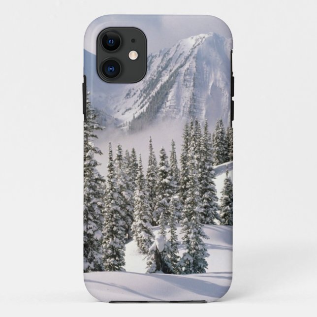 winter-scenes-66 Case-Mate iPhone case (Back)