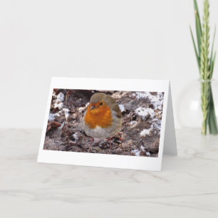 Winter scenes -Robin -greeting card
