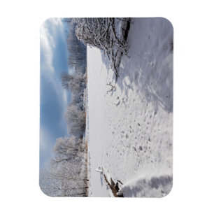 winter scenic along pond and forests of salem hill magnet
