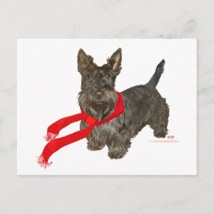Winter Scottie in Wam Scarf Postcard